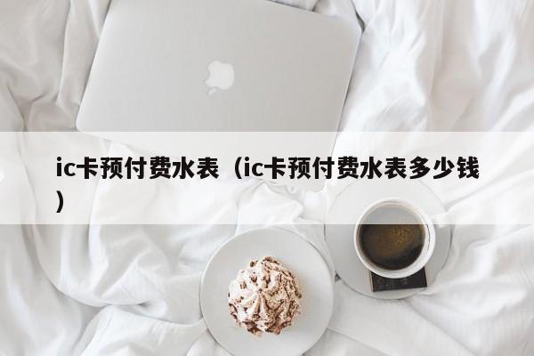 ic卡预付费水表（ic卡预付费水表多少钱）