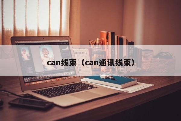 can线束（can通讯线束）