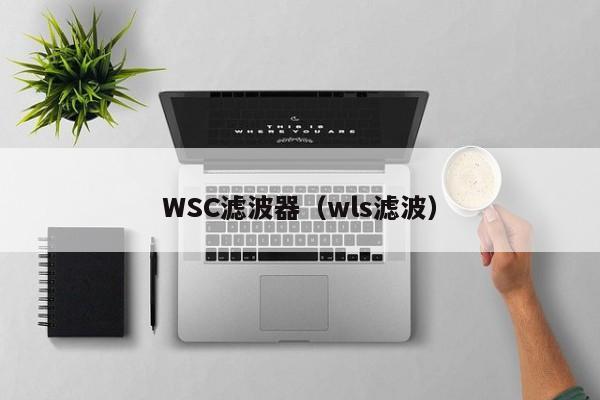 WSC滤波器（wls滤波）