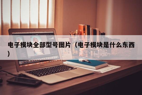 电子模块全部型号图片（电子模块是什么东西）