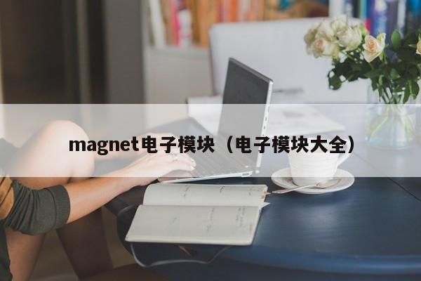 magnet电子模块（电子模块大全）