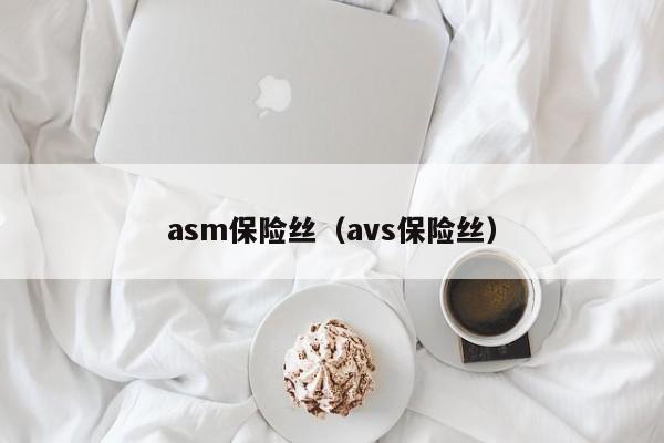 asm保险丝（avs保险丝）