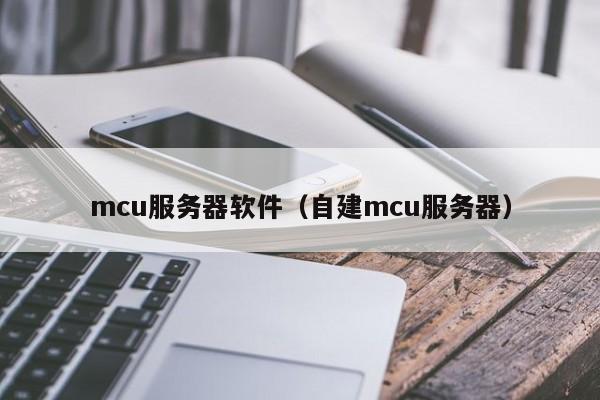 mcu服务器软件（自建mcu服务器）