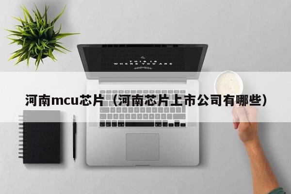 河南mcu芯片（河南芯片上市公司有哪些）