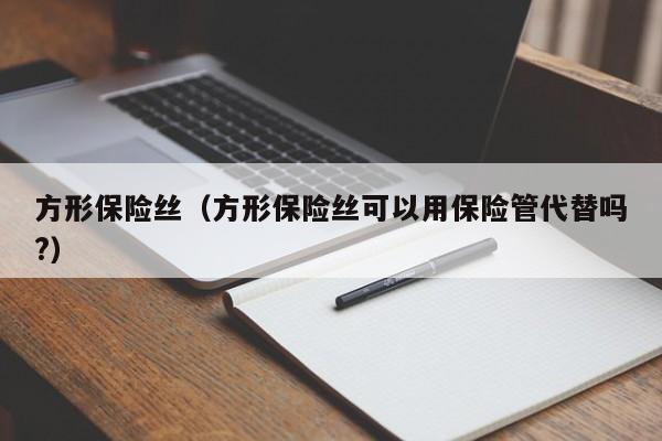 方形保险丝（方形保险丝可以用保险管代替吗?）