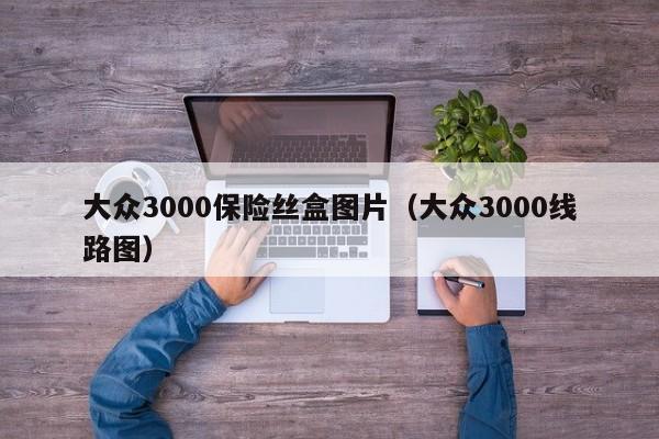 大众3000保险丝盒图片（大众3000线路图）