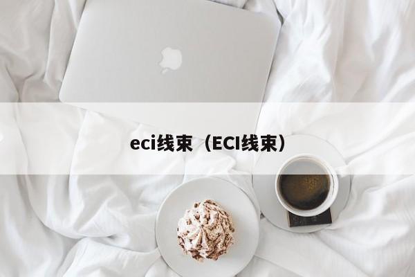 eci线束（ECI线束）