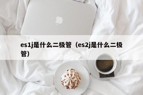 es1j是什么二极管（es2j是什么二极管）