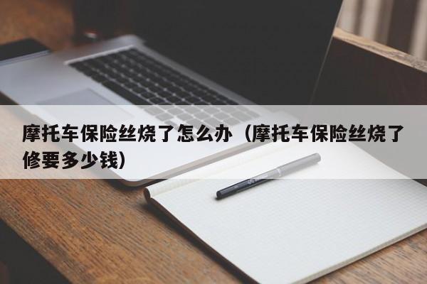 摩托车保险丝烧了怎么办（摩托车保险丝烧了修要多少钱）