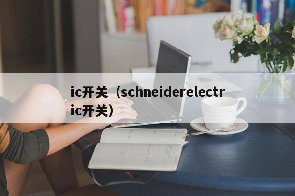 ic开关（schneiderelectric开关）