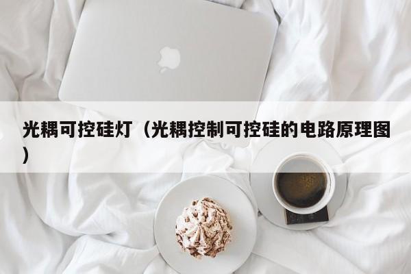 光耦可控硅灯（光耦控制可控硅的电路原理图）