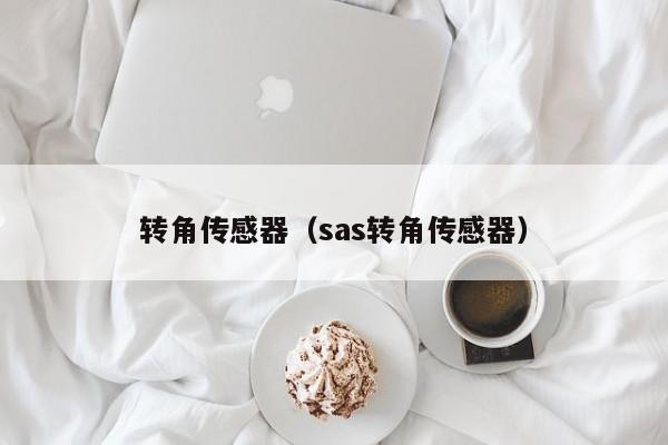 转角传感器（sas转角传感器）