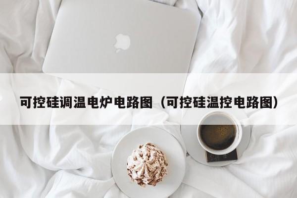 可控硅调温电炉电路图（可控硅温控电路图）