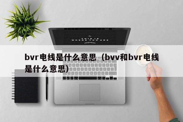 bvr电线是什么意思（bvv和bvr电线是什么意思）