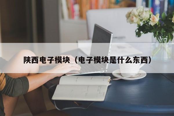 陕西电子模块（电子模块是什么东西）