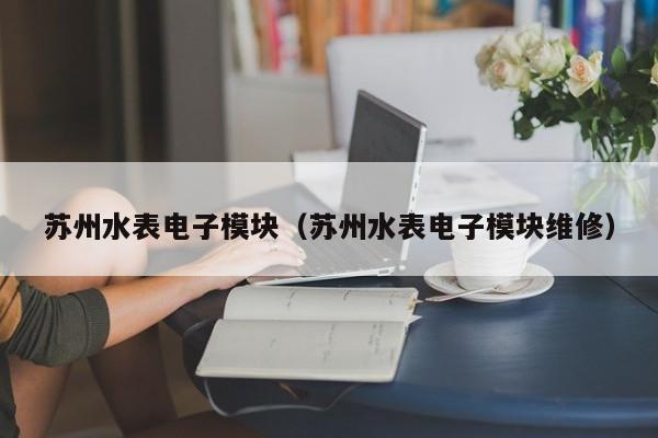 苏州水表电子模块（苏州水表电子模块维修）