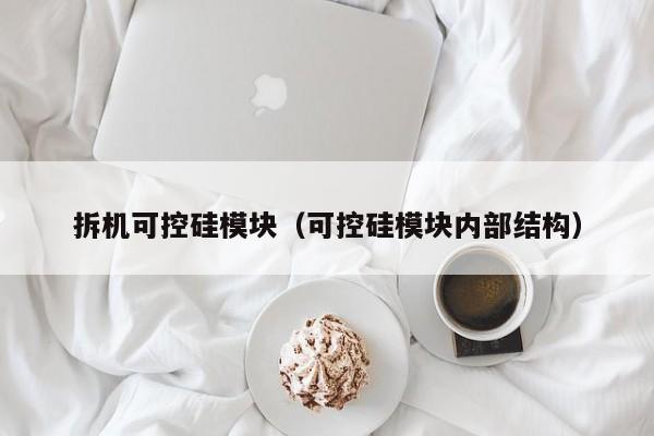 拆机可控硅模块（可控硅模块内部结构）