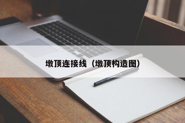 墩顶连接线（墩顶构造图）