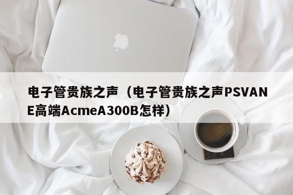 电子管贵族之声（电子管贵族之声PSVANE高端AcmeA300B怎样）