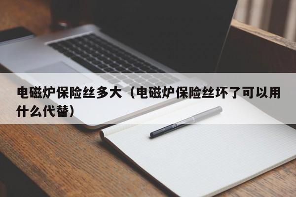 电磁炉保险丝多大（电磁炉保险丝坏了可以用什么代替）