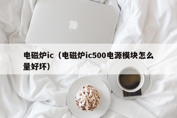 电磁炉ic（电磁炉ic500电源模块怎么量好坏）