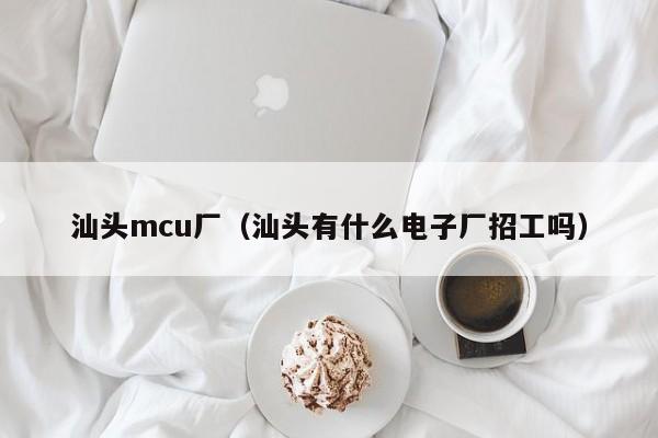 汕头mcu厂（汕头有什么电子厂招工吗）