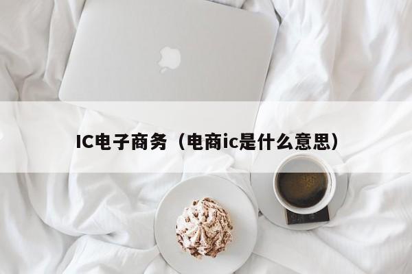 IC电子商务（电商ic是什么意思）