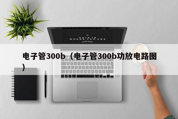 电子管300b（电子管300b功放电路图）