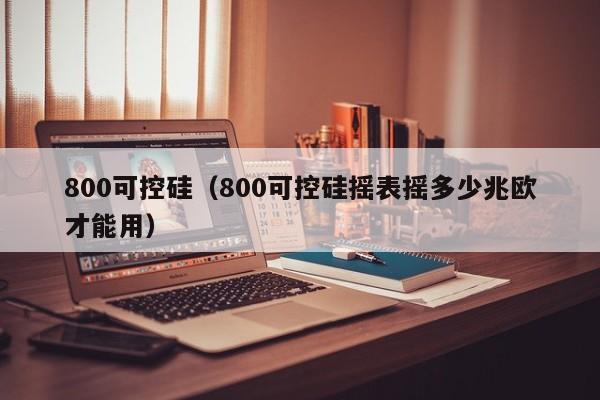 800可控硅（800可控硅摇表摇多少兆欧才能用）