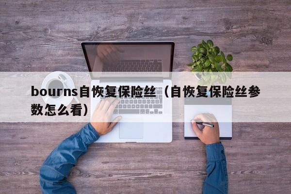 bourns自恢复保险丝（自恢复保险丝参数怎么看）