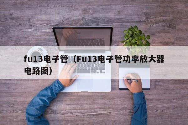 fu13电子管（Fu13电子管功率放大器电路图）