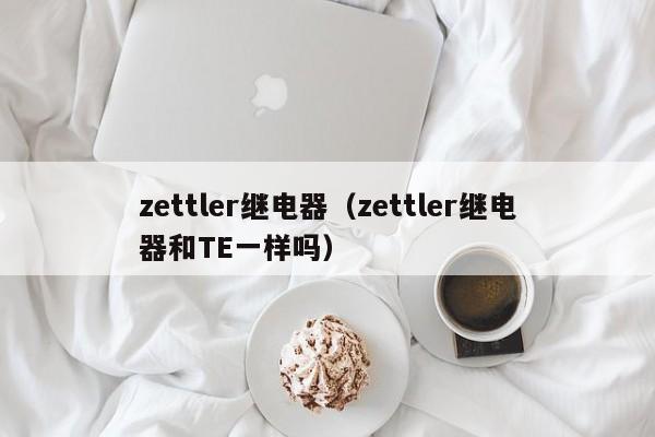 zettler继电器（zettler继电器和TE一样吗）