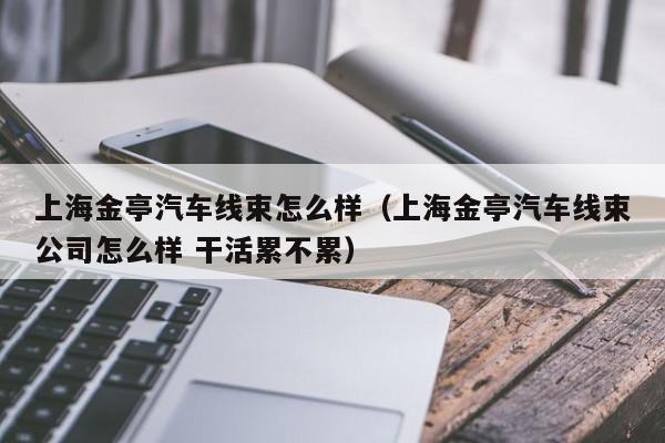 上海金亭汽车线束怎么样（上海金亭汽车线束公司怎么样 干活累不累）