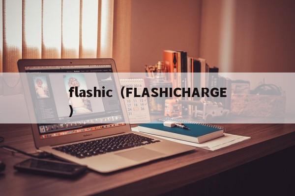 flashic（FLASHICHARGE）