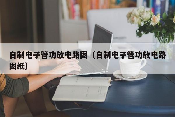 自制电子管功放电路图（自制电子管功放电路图纸）