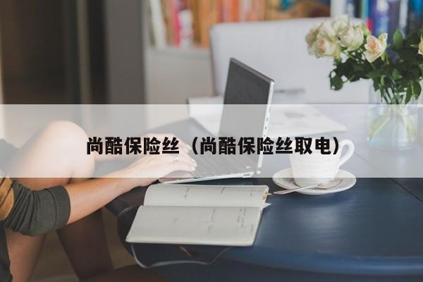 尚酷保险丝（尚酷保险丝取电）