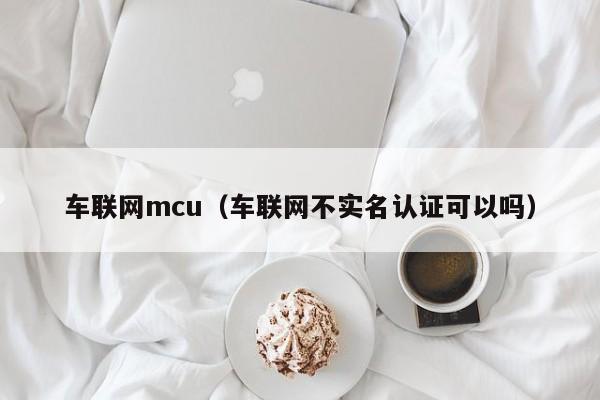 车联网mcu（车联网不实名认证可以吗）