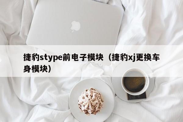 捷豹stype前电子模块（捷豹xj更换车身模块）