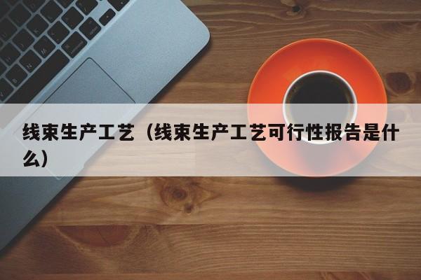 线束生产工艺（线束生产工艺可行性报告是什么）