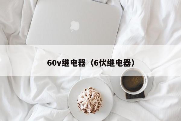 60v继电器（6伏继电器）