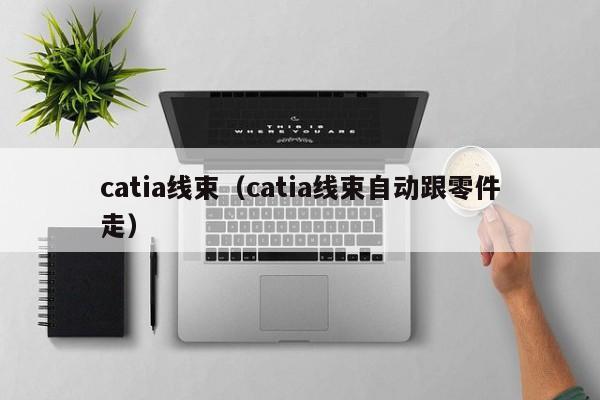 catia线束（catia线束自动跟零件走）