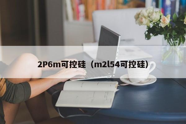 2P6m可控硅（m2l54可控硅）