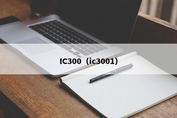 IC300（ic3001）