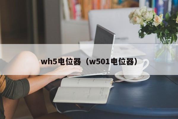 wh5电位器（w501电位器）