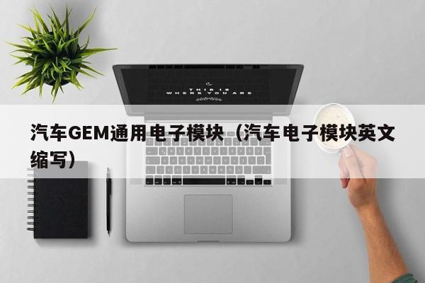 汽车GEM通用电子模块（汽车电子模块英文缩写）