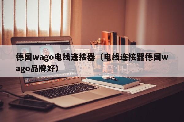 德国wago电线连接器（电线连接器德国wago品牌好）