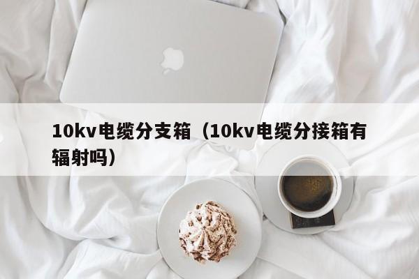 10kv电缆分支箱（10kv电缆分接箱有辐射吗）