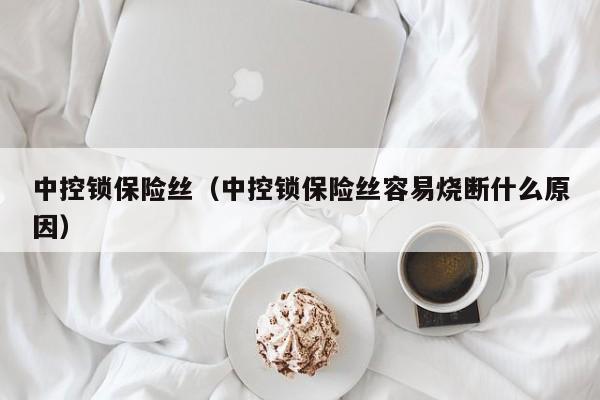 中控锁保险丝（中控锁保险丝容易烧断什么原因）