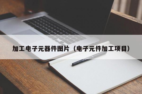 加工电子元器件图片（电子元件加工项目）