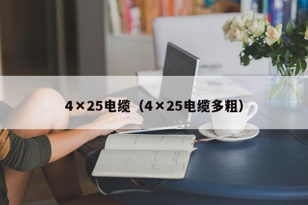 4×25电缆（4×25电缆多粗）